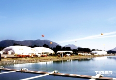 �ϳ� ���� ȯ�� ������