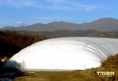 ��õ �Ÿ���