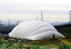 ���� ���